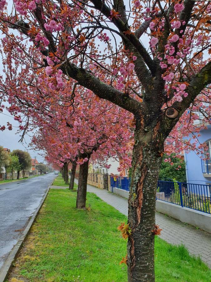 Laguna Apartmanház Hévíz Esterno foto