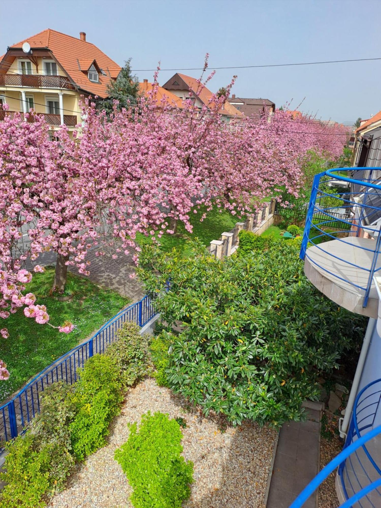 Laguna Apartmanház Hévíz Esterno foto